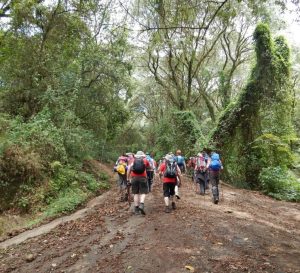 6-Day Kilimanjaro Machame Route Trek